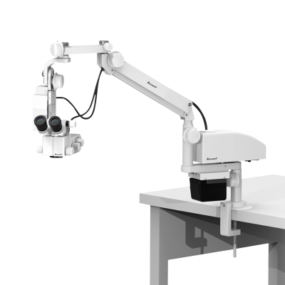 Microscopio-L0955SD